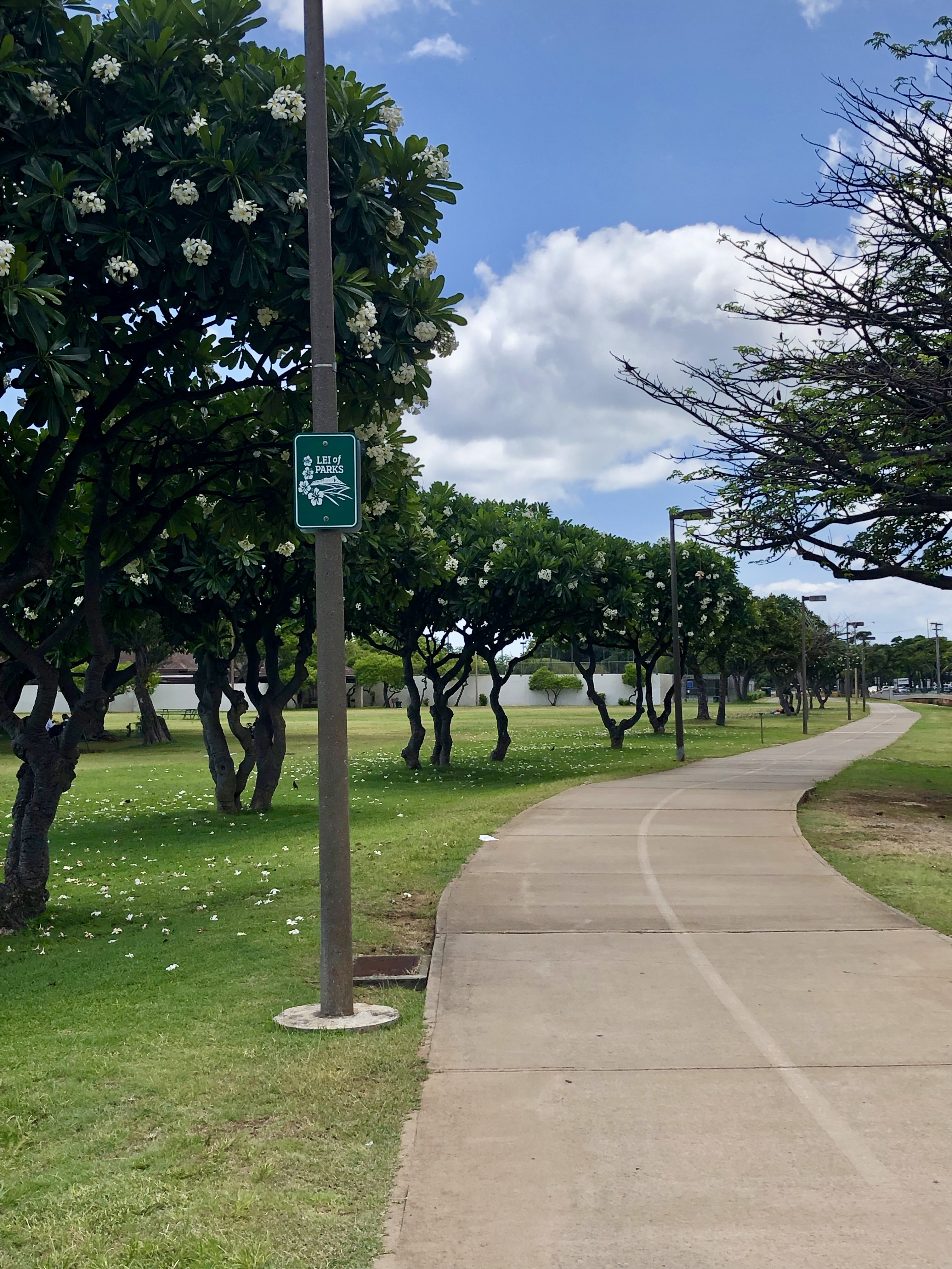 Biki Routes Ala Moana Beach Park Biki Biki